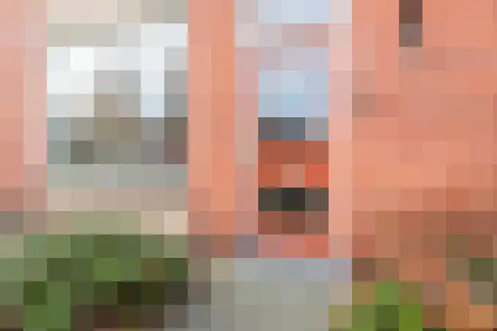 Esschingstraat 17 Dalfsen thumbnail 4