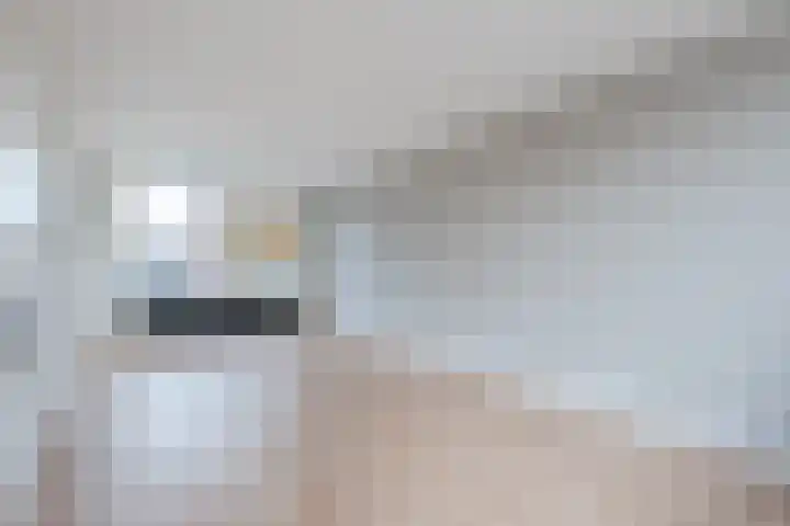 Esschingstraat 17 Dalfsen thumbnail 8