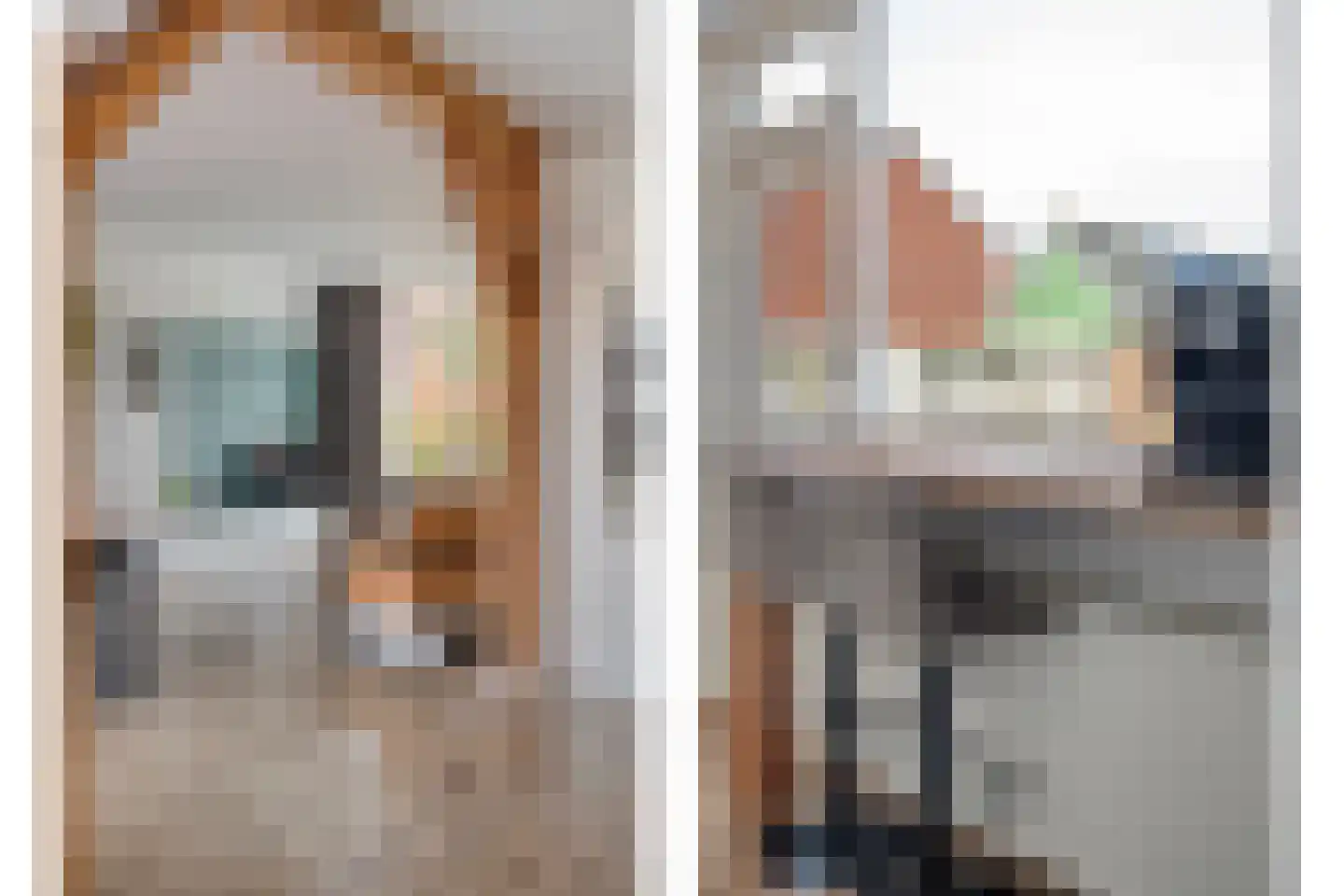 Esschingstraat 27 Dalfsen thumbnail 12