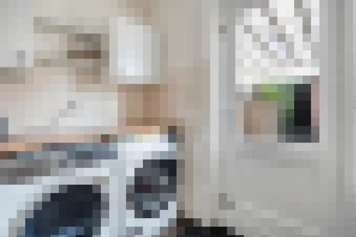 Esschingstraat 27 Dalfsen thumbnail 13