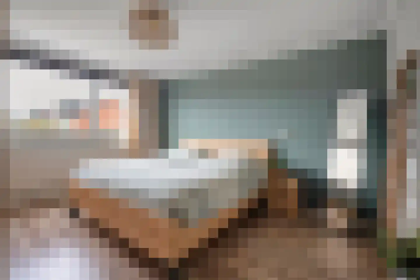 Esschingstraat 27 Dalfsen thumbnail 17
