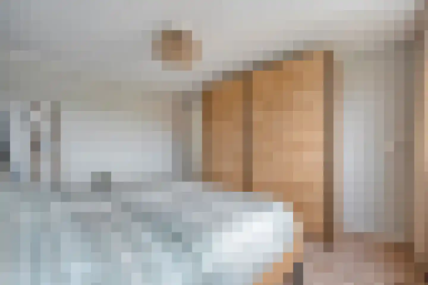 Esschingstraat 27 Dalfsen thumbnail 18