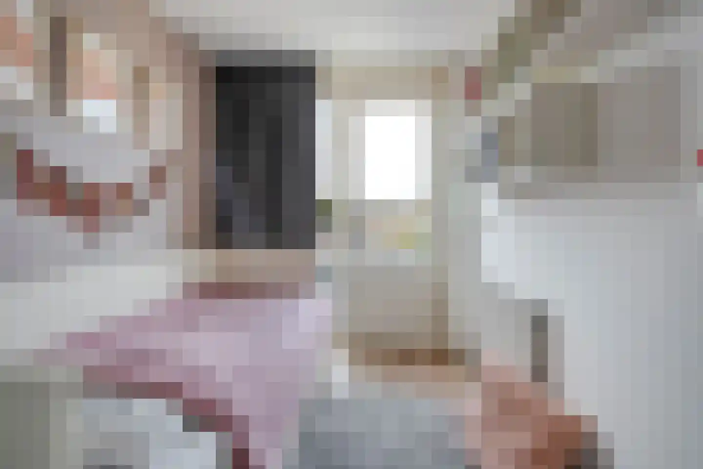 Esschingstraat 27 Dalfsen thumbnail 21