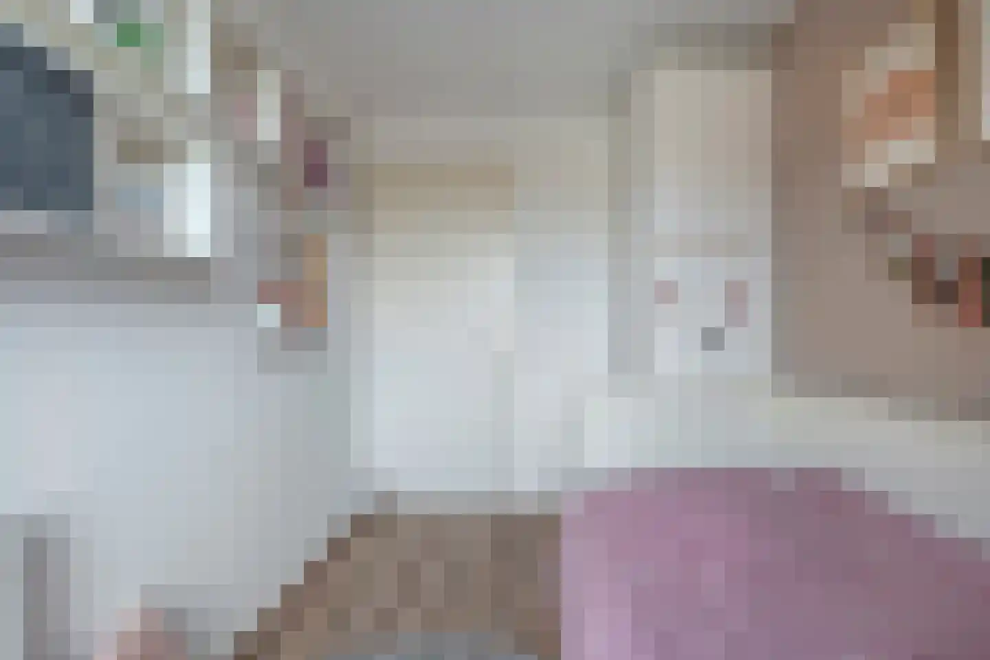 Esschingstraat 27 Dalfsen thumbnail 22