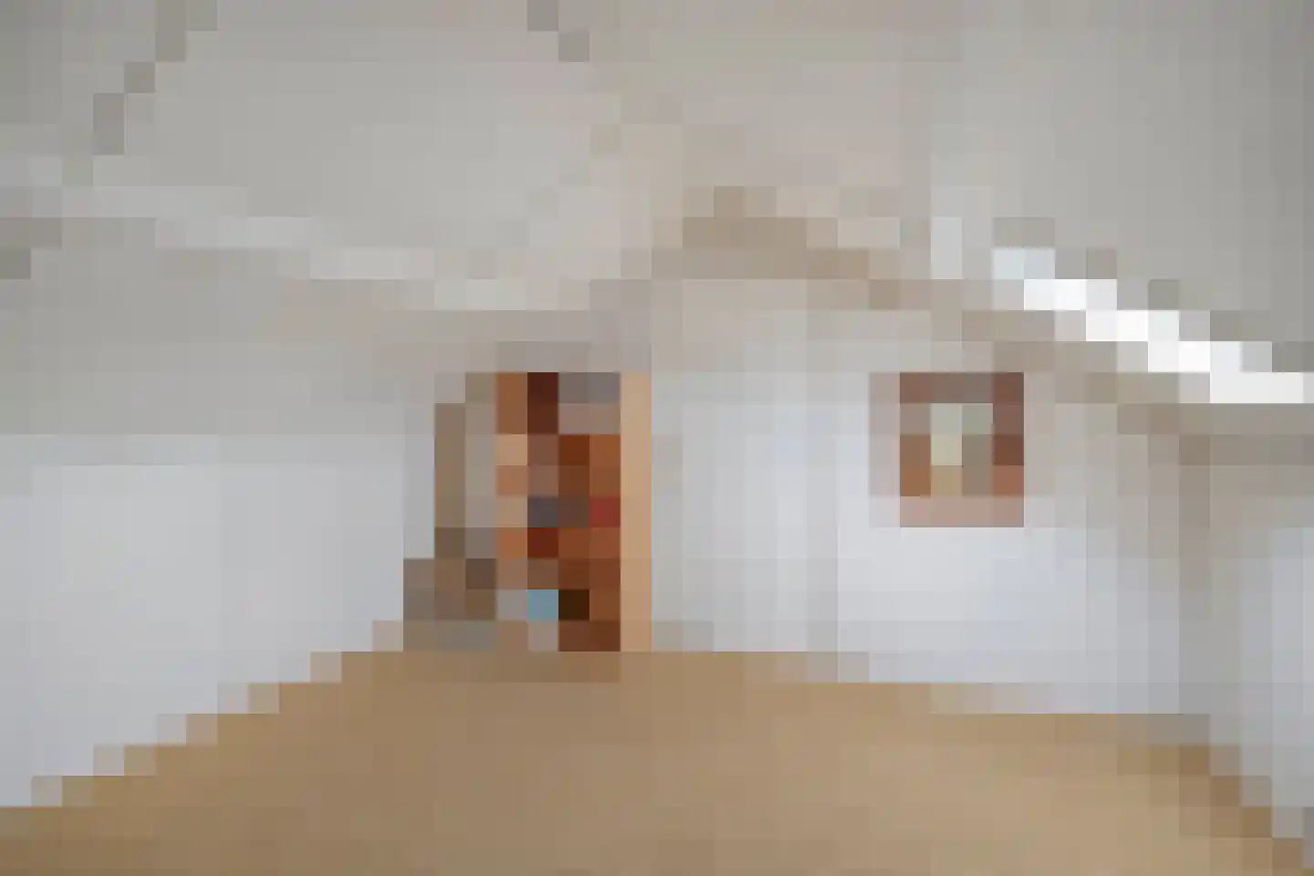 Esschingstraat 27 Dalfsen thumbnail 28