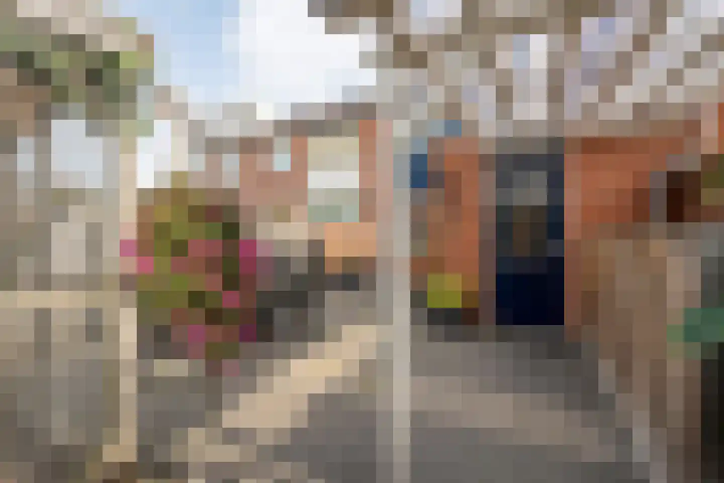 Esschingstraat 27 Dalfsen thumbnail 30