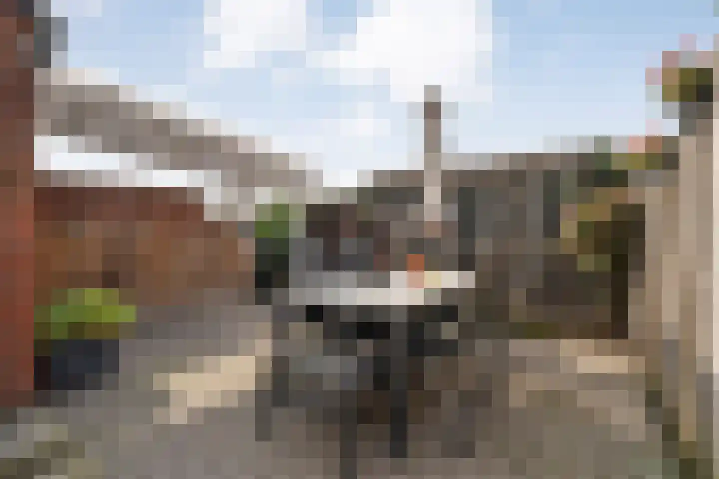 Esschingstraat 27 Dalfsen thumbnail 31