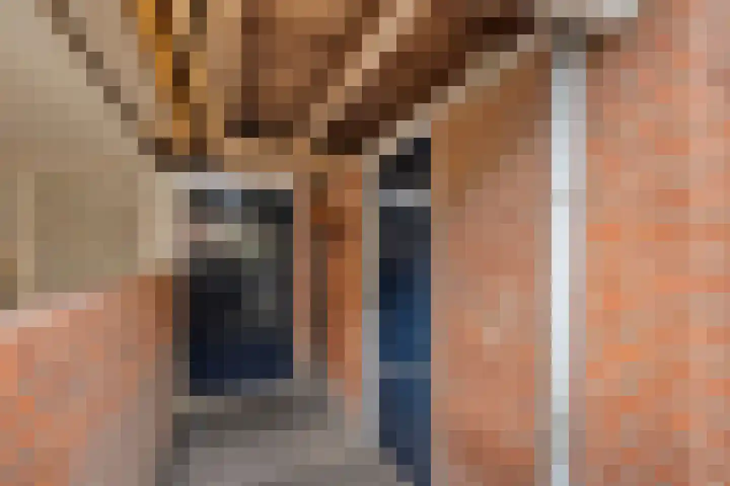 Esschingstraat 27 Dalfsen thumbnail 32