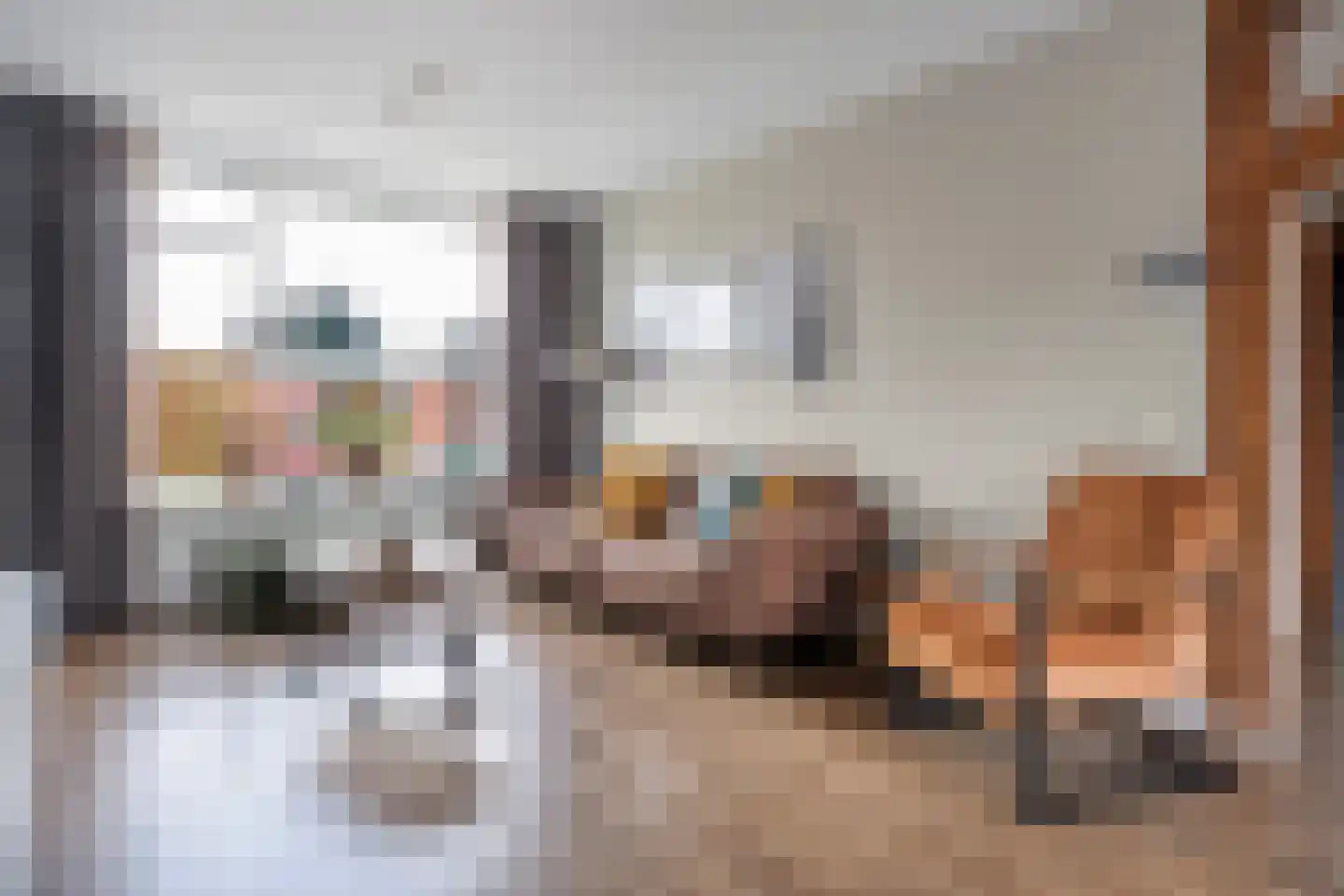 Esschingstraat 27 Dalfsen thumbnail 6