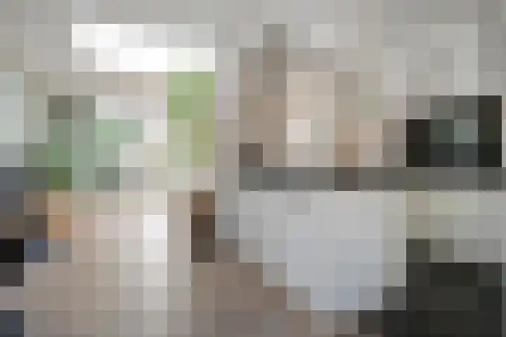 Esschingstraat 33 Dalfsen thumbnail 10
