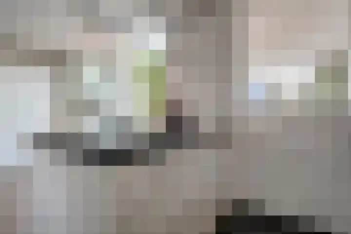 Esschingstraat 33 Dalfsen thumbnail 20