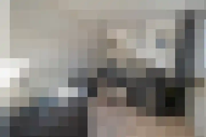Esschingstraat 33 Dalfsen thumbnail 31