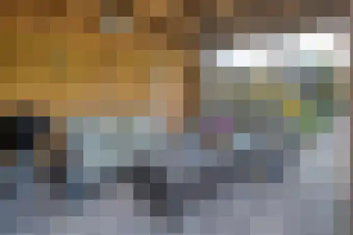Esschingstraat 33 Dalfsen thumbnail 37