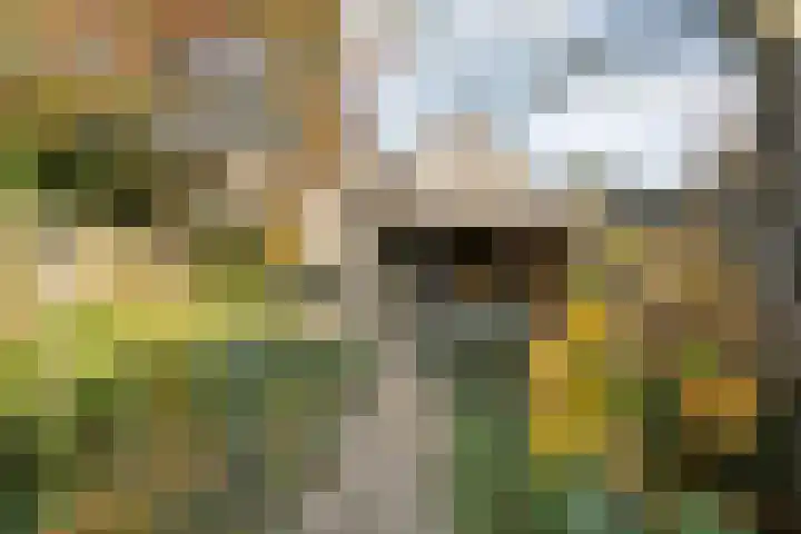 Esschingstraat 33 Dalfsen thumbnail 39
