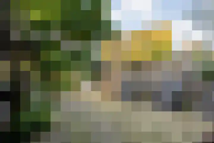 Esschingstraat 33 Dalfsen thumbnail 42
