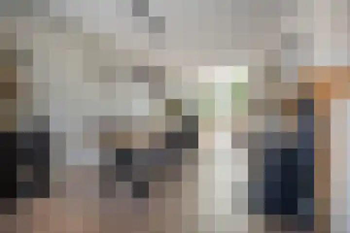 Esschingstraat 33 Dalfsen thumbnail 7