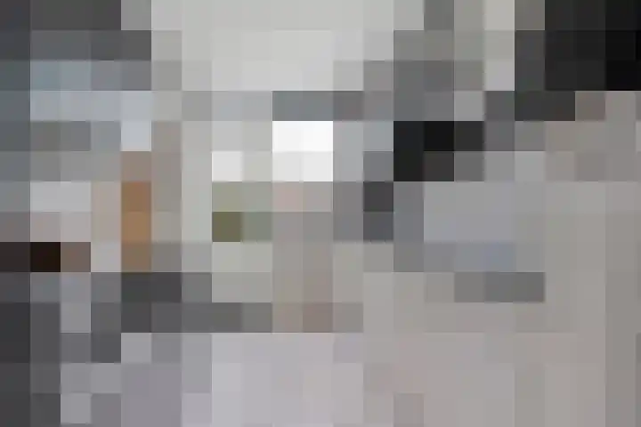 Esschingstraat 76 Dalfsen thumbnail 12