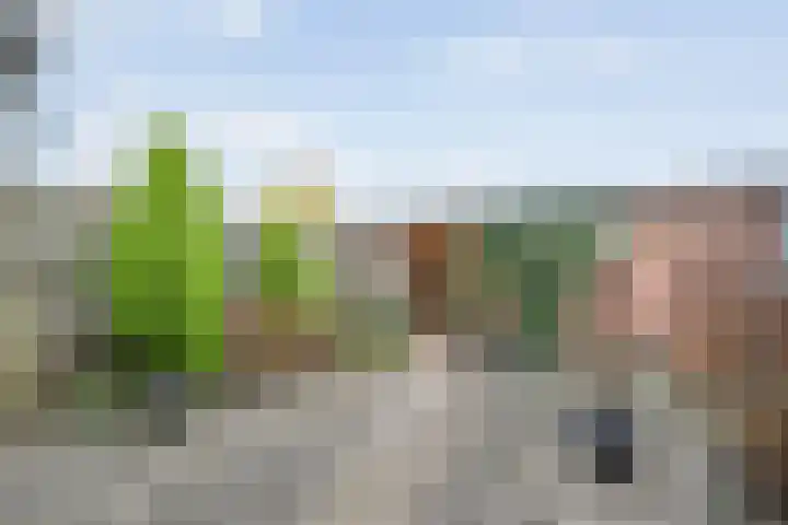 Esschingstraat 76 Dalfsen thumbnail 27