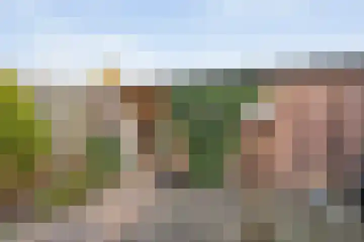 Esschingstraat 76 Dalfsen thumbnail 29
