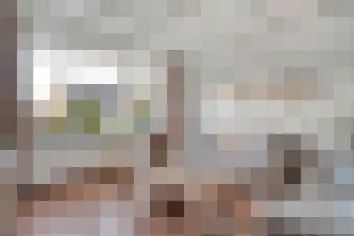 Esschingstraat 76 Dalfsen thumbnail 6