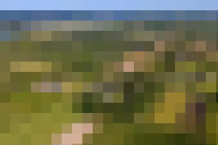 Essebroek 3 Ingen thumbnail 100