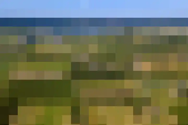 Essebroek 3 Ingen thumbnail 101