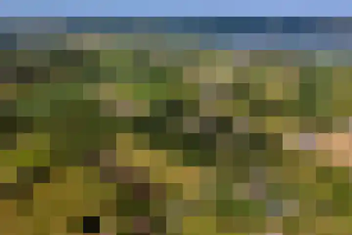 Essebroek 3 Ingen thumbnail 102