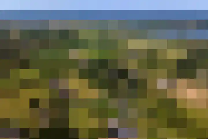 Essebroek 3 Ingen thumbnail 103