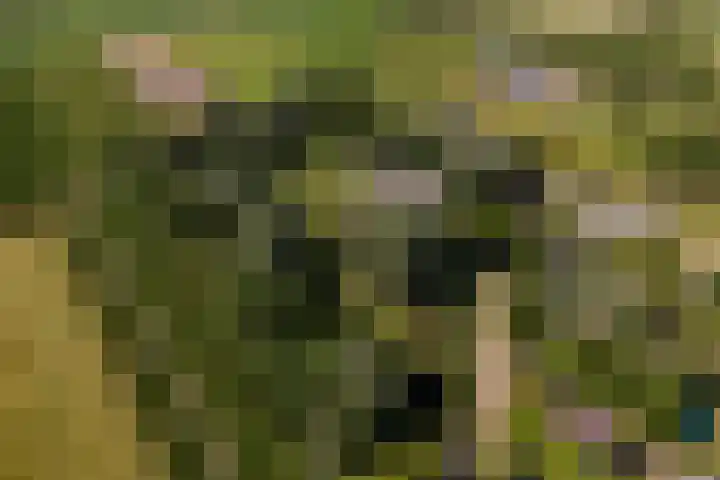 Essebroek 3 Ingen thumbnail 104