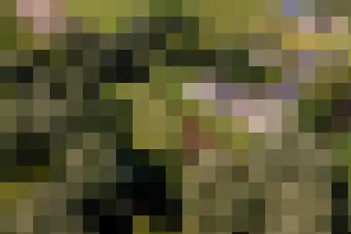 Essebroek 3 Ingen thumbnail 105