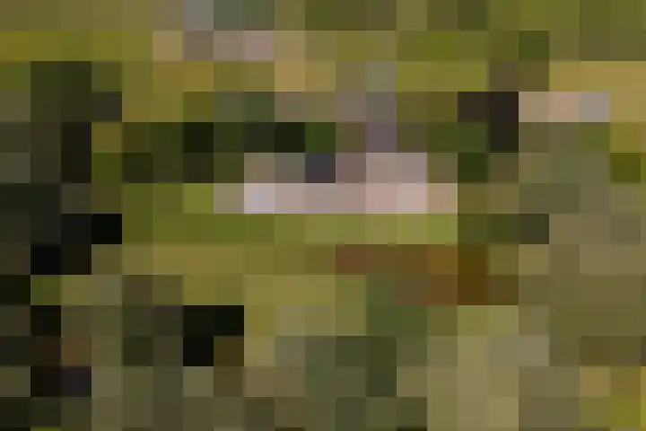 Essebroek 3 Ingen thumbnail 106