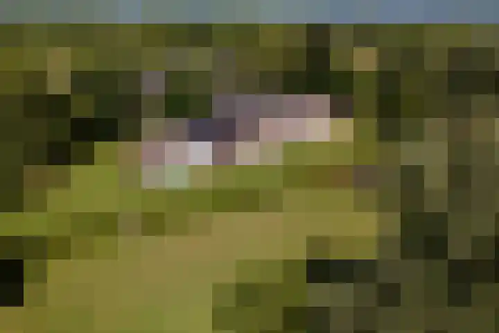 Essebroek 3 Ingen thumbnail 107