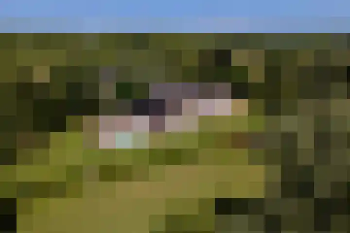 Essebroek 3 Ingen thumbnail 108