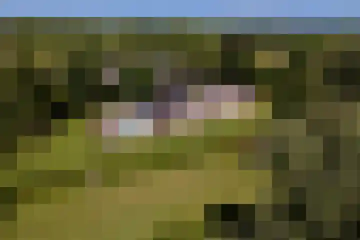 Essebroek 3 Ingen thumbnail 109