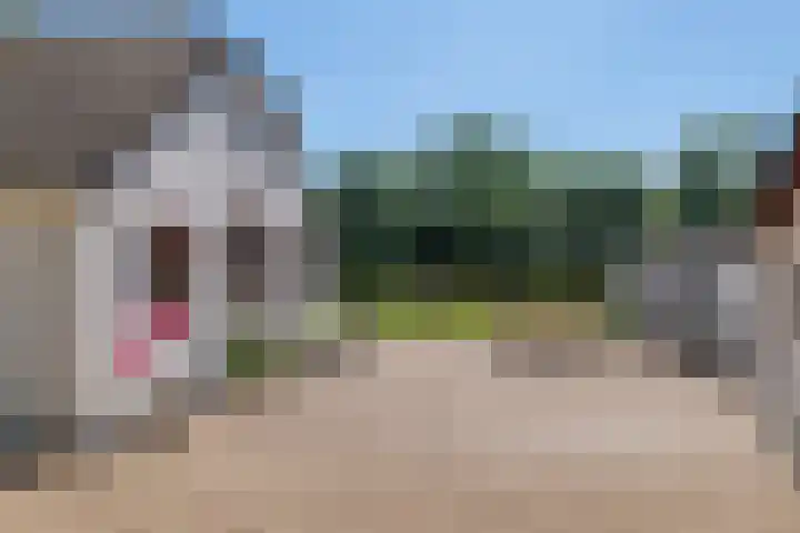 Essebroek 3 Ingen thumbnail 11