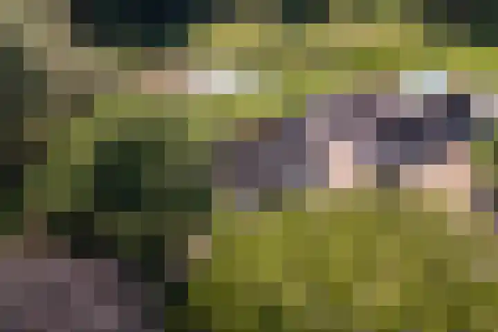 Essebroek 3 Ingen thumbnail 111