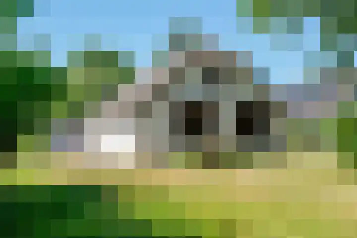 Essebroek 3 Ingen thumbnail 12
