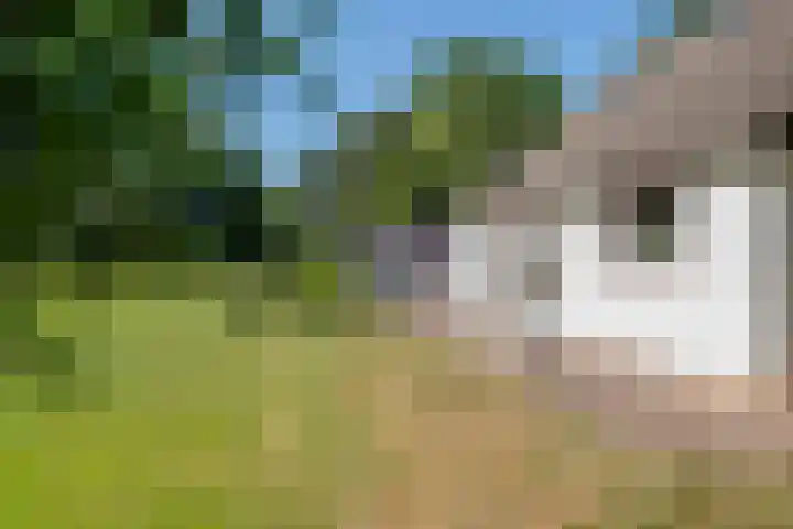 Essebroek 3 Ingen thumbnail 13