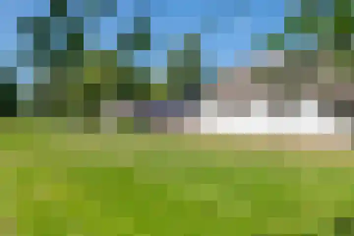 Essebroek 3 Ingen thumbnail 14
