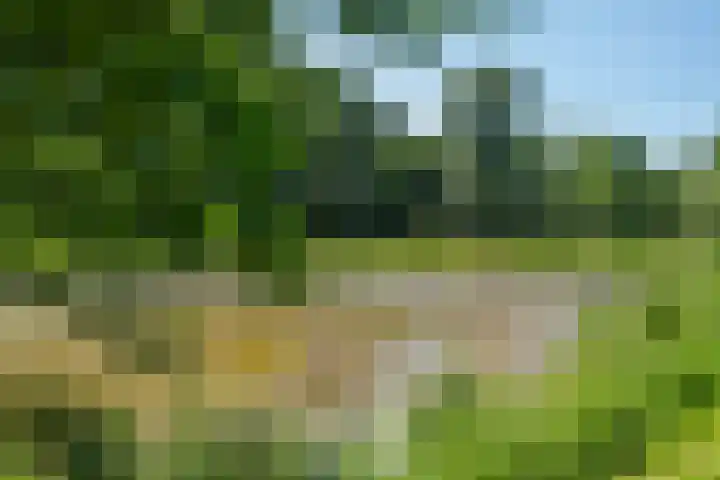 Essebroek 3 Ingen thumbnail 15