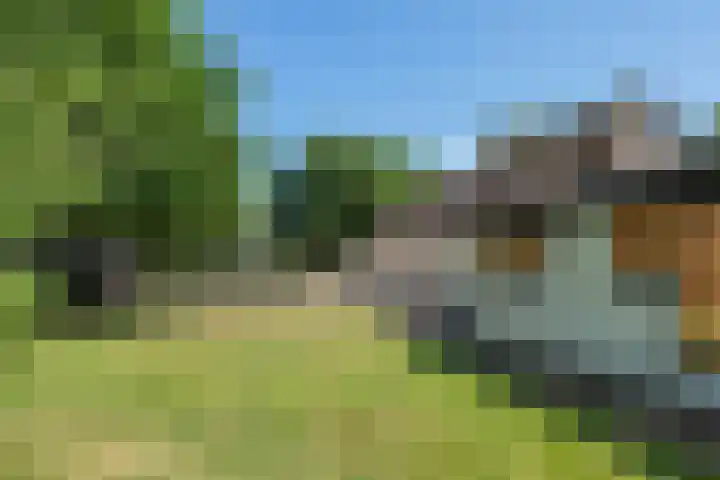 Essebroek 3 Ingen thumbnail 24