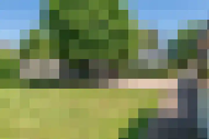 Essebroek 3 Ingen thumbnail 25