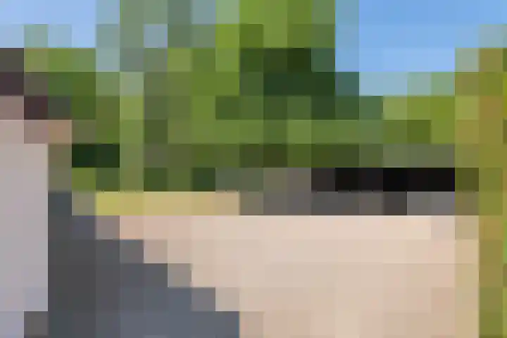 Essebroek 3 Ingen thumbnail 26