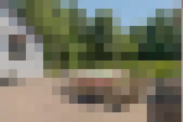 Essebroek 3 Ingen thumbnail 27