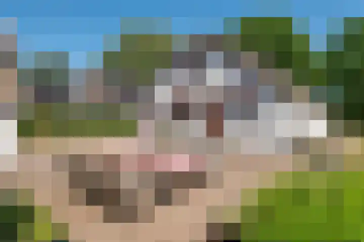Essebroek 3 Ingen thumbnail 28