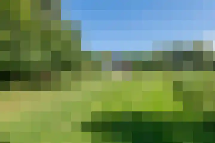 Essebroek 3 Ingen thumbnail 30