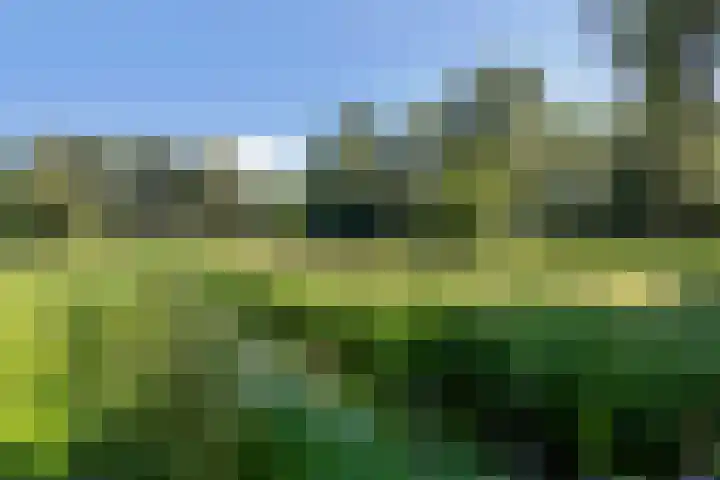 Essebroek 3 Ingen thumbnail 31