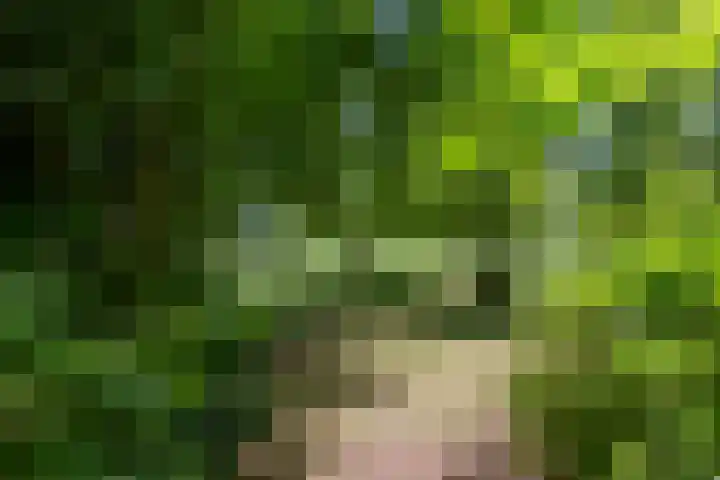 Essebroek 3 Ingen thumbnail 32