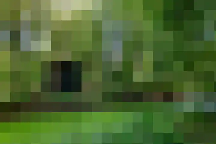 Essebroek 3 Ingen thumbnail 33