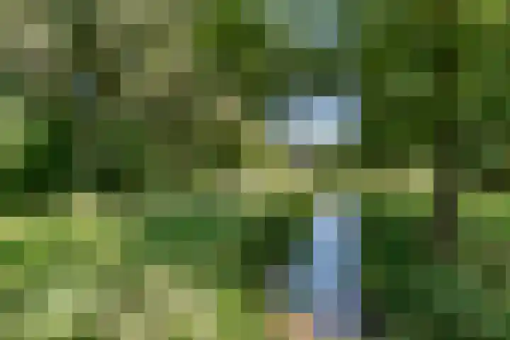 Essebroek 3 Ingen thumbnail 34